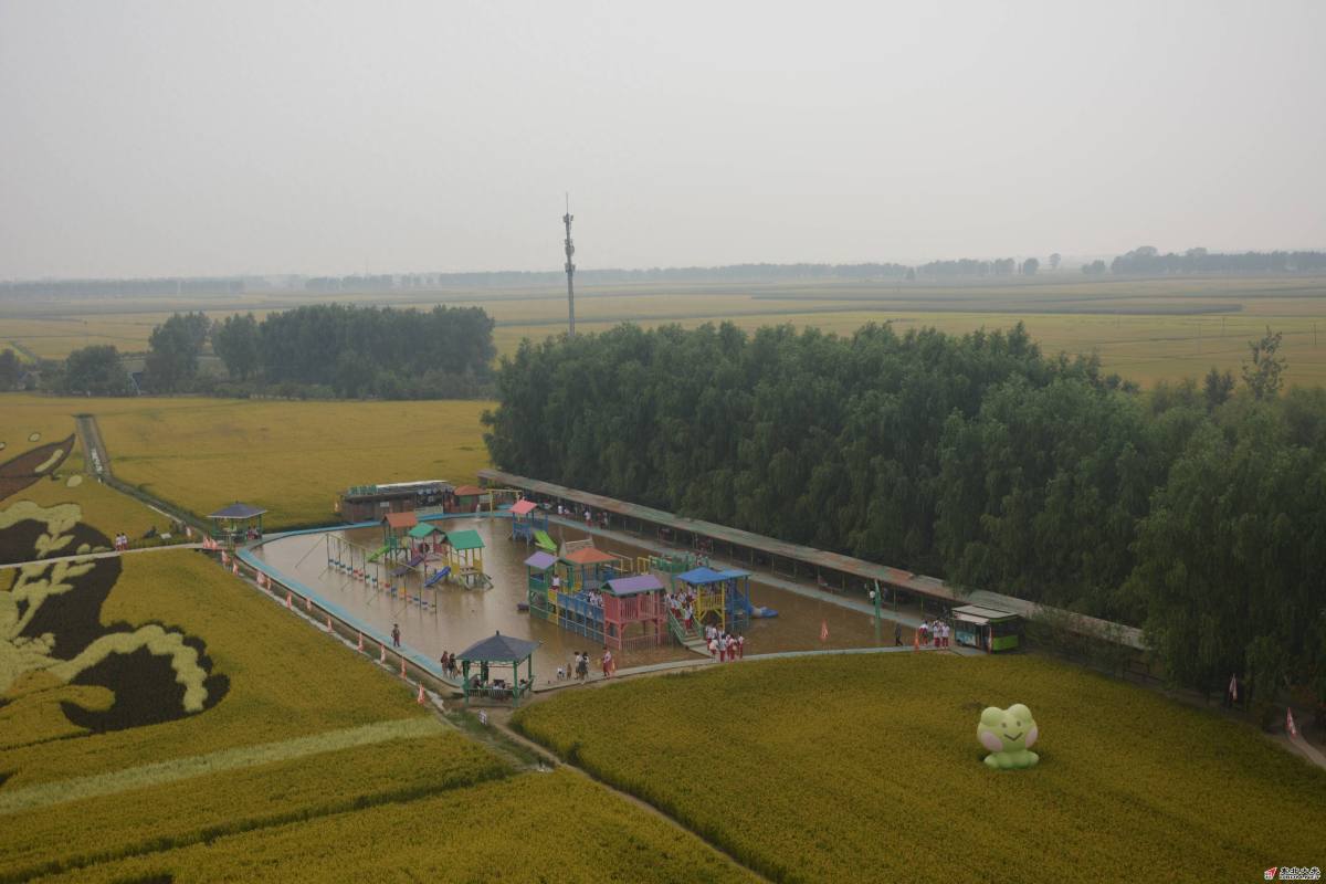 图片关键词