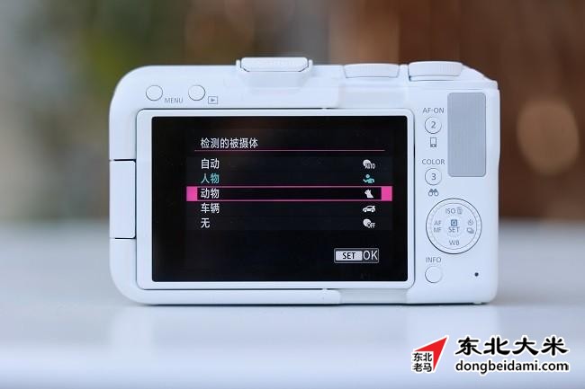 图片关键词 图片关键词