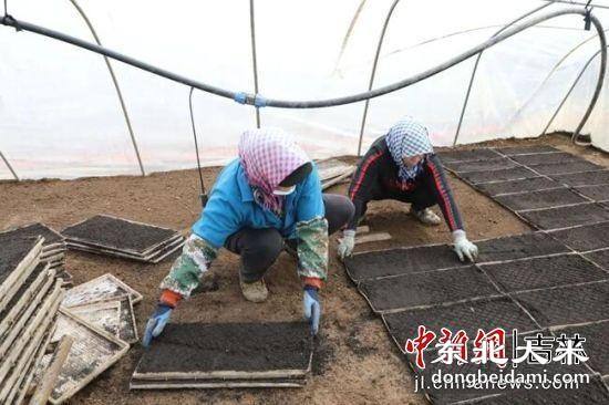 图片关键词 图片关键词