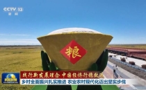 践行新发展理念 中国经济行稳致远丨乡村全面振兴扎实推进 农业农村现代化迈出坚实步伐