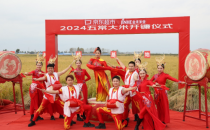 中国最知名的大米&mdash;&mdash;五常大米开镰 丰收稳价 电商包地成本降四分之一