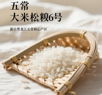 黑龙江五常大米松粳6号介绍