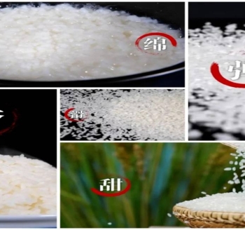 吉林20余家优质企业携吉米金穗亮相京城