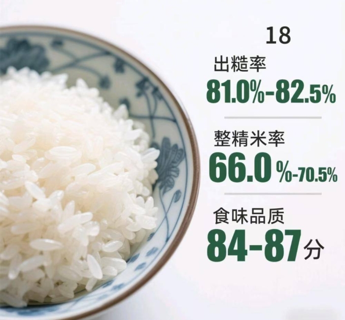 黑龙江五常大米绥粳18介绍